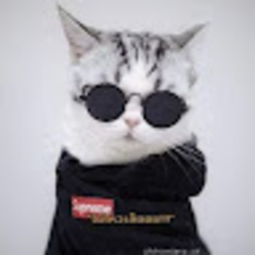 Meet your Posher, ราชัน